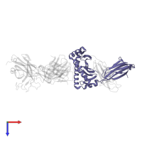 HLA class I histocompatibility antigen, A alpha chain in PDB entry 5yxn, assembly 1, top view.