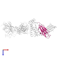 Beta-2-microglobulin in PDB entry 5yxn, assembly 1, top view.