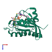 Monomeric assembly 1 of PDB entry 5yxz coloured by chemically distinct molecules, top view.
