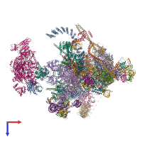 Hetero 55-meric assembly 1 of PDB entry 5yzg coloured by chemically distinct molecules, top view.