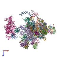 PDB entry 5yzg coloured by chain, top view.