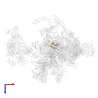 Pre-mRNA-splicing factor SYF2 in PDB entry 5yzg, assembly 1, top view.