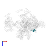 Protein BUD31 homolog in PDB entry 5yzg, assembly 1, top view.