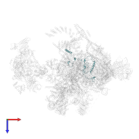 SNW domain-containing protein 1 in PDB entry 5yzg, assembly 1, top view.