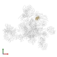 Peptidyl-prolyl cis-trans isomerase-like 1 in PDB entry 5yzg, assembly 1, front view.