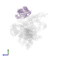 RNA helicase aquarius in PDB entry 5yzg, assembly 1, side view.