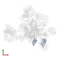 Pre-mRNA-splicing factor CWC22 homolog in PDB entry 5yzg, assembly 1, front view.