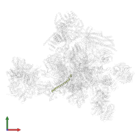 Pre-mRNA-splicing factor CWC25 homolog in PDB entry 5yzg, assembly 1, front view.