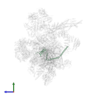 Splicing factor YJU2 in PDB entry 5yzg, assembly 1, side view.