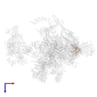 Protein mago nashi homolog 2 in PDB entry 5yzg, assembly 1, top view.