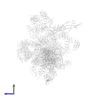 Protein CASC3 in PDB entry 5yzg, assembly 1, side view.