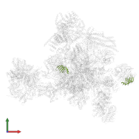 Small nuclear ribonucleoprotein Sm D3 in PDB entry 5yzg, assembly 1, front view.