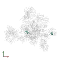 Small nuclear ribonucleoprotein-associated proteins B and B' in PDB entry 5yzg, assembly 1, front view.