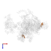 Small nuclear ribonucleoprotein Sm D1 in PDB entry 5yzg, assembly 1, top view.