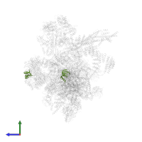 Small nuclear ribonucleoprotein E in PDB entry 5yzg, assembly 1, side view.