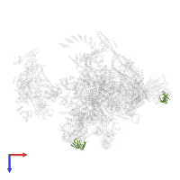 Small nuclear ribonucleoprotein E in PDB entry 5yzg, assembly 1, top view.