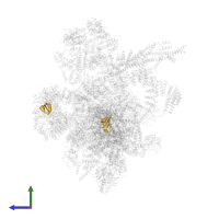 Small nuclear ribonucleoprotein G in PDB entry 5yzg, assembly 1, side view.