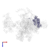 116 kDa U5 small nuclear ribonucleoprotein component in PDB entry 5yzg, assembly 1, top view.