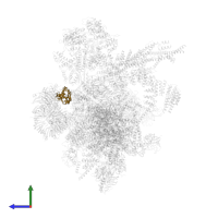 U2 small nuclear ribonucleoprotein A' in PDB entry 5yzg, assembly 1, side view.