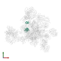 Peptidyl-prolyl cis-trans isomerase E in PDB entry 5yzg, assembly 1, front view.