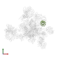 U5 small nuclear ribonucleoprotein 40 kDa protein in PDB entry 5yzg, assembly 1, front view.