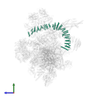 Pre-mRNA-splicing factor SYF1 in PDB entry 5yzg, assembly 1, side view.