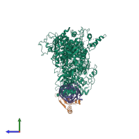 Hetero trimeric assembly 1 of PDB entry 5zam coloured by chemically distinct molecules, side view.