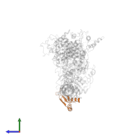 RISC-loading complex subunit TARBP2 in PDB entry 5zam, assembly 1, side view.