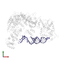 RNA (73-mer) in PDB entry 5zam, assembly 1, front view.