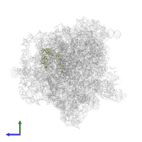 Large ribosomal subunit protein uL2 in PDB entry 5zep, assembly 1, side view.