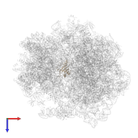 Large ribosomal subunit protein uL5 in PDB entry 5zep, assembly 1, top view.