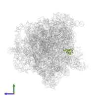 Large ribosomal subunit protein uL13 in PDB entry 5zep, assembly 1, side view.