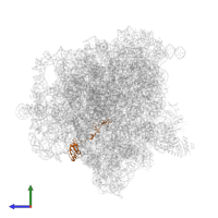 Large ribosomal subunit protein uL15 in PDB entry 5zep, assembly 1, side view.