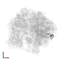 Large ribosomal subunit protein bL21 in PDB entry 5zep, assembly 1, front view.