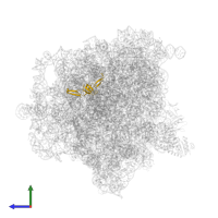 Large ribosomal subunit protein uL24 in PDB entry 5zep, assembly 1, side view.