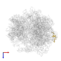 Large ribosomal subunit protein uL24 in PDB entry 5zep, assembly 1, top view.