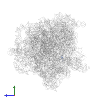 Uncharacterized protein in PDB entry 5zep, assembly 1, side view.