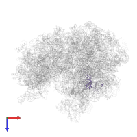 Large ribosomal subunit protein uL3 in PDB entry 5zlu, assembly 1, top view.