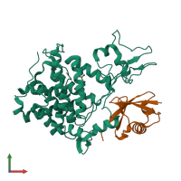 Hetero dimeric assembly 2 of PDB entry 5zq4 coloured by chemically distinct molecules, front view.