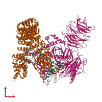 PDB entry 5zya coloured by chain, front view.