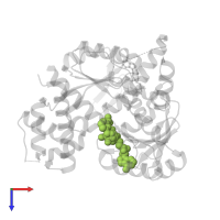 NICOTINAMIDE-ADENINE-DINUCLEOTIDE in PDB entry 5zz6, assembly 2, top view.