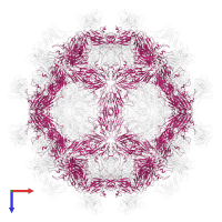 VP2 in PDB entry 6ad0, assembly 1, top view.