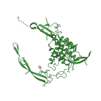 The deposited structure of PDB entry 6ahy contains 3 copies of Pfam domain PF00110 (wnt family) in Proto-oncogene Wnt-3. Showing 1 copy in chain B.