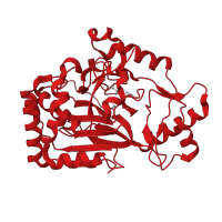 The deposited structure of PDB entry 6alo contains 1 copy of CATH domain 3.60.130.10 (Double-stranded beta-helix) in Alpha-ketoglutarate-dependent L-arginine hydroxylase. Showing 1 copy in chain A.