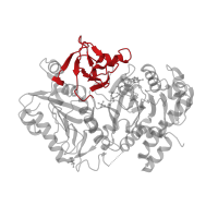 The deposited structure of PDB entry 6at2 contains 1 copy of CATH domain 2.170.8.10 (Phosphoenolpyruvate Carboxykinase; domain 2) in Phosphoenolpyruvate carboxykinase (ATP). Showing 1 copy in chain A.