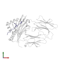 Vimentin in PDB entry 6ati, assembly 1, front view.