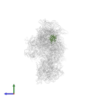 Small ribosomal subunit protein uS8 in PDB entry 6awb, assembly 1, side view.