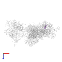 Small ribosomal subunit protein bS16 in PDB entry 6awb, assembly 1, top view.