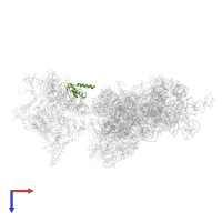 DNA-directed RNA polymerase subunit omega in PDB entry 6awb, assembly 1, top view.