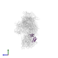 Small ribosomal subunit protein uS3 in PDB entry 6awb, assembly 1, side view.